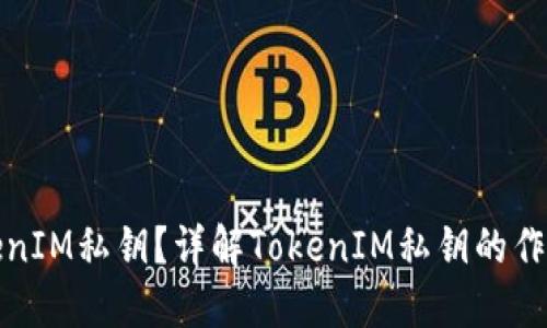 什么是TokenIM私钥？详解TokenIM私钥的作用与安全性