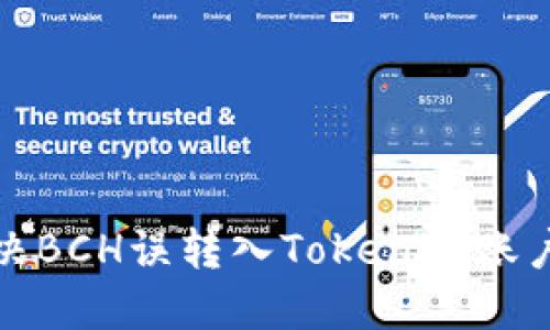 如何解决BCH误转入Tokenim账户的问题