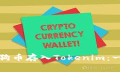 如何将狗狗币存入Tokenim：一步步指南