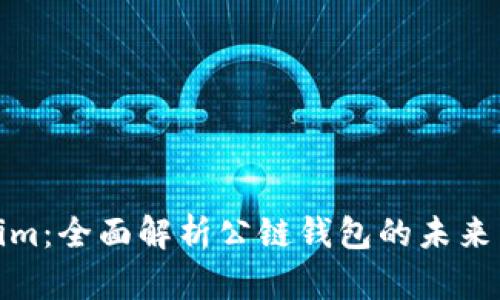 Tokenim：全面解析公链钱包的未来与优势