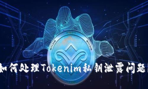 如何处理Tokenim私钥泄露问题？