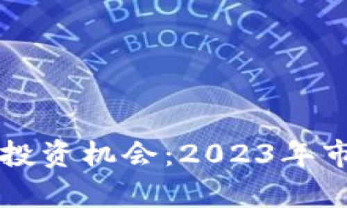 区块链平台的投资机会：2023年市场趋势与分析