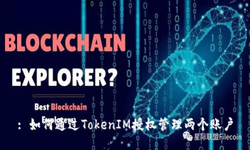 : 如何通过TokenIM授权管理两个账户