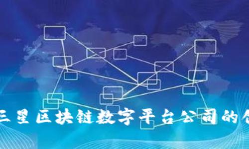 深度解析三星区块链数字平台公司的创新与未来