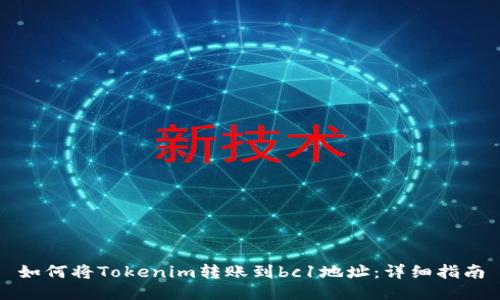 如何将Tokenim转账到bc1地址：详细指南