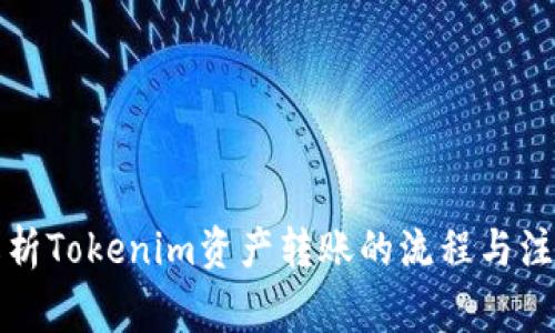 全面解析Tokenim资产转账的流程与注意事项