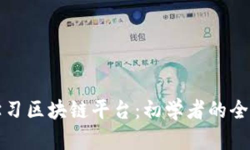 如何学习区块链平台：初学者的全面指南