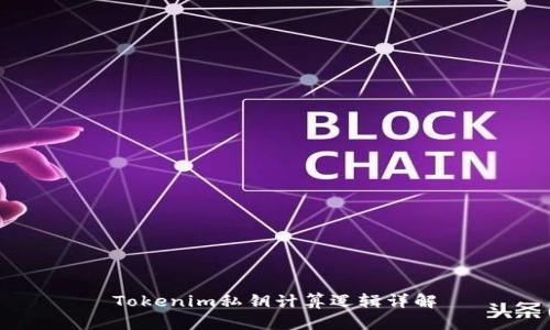 Tokenim私钥计算逻辑详解