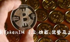 深入解析TokenIM 1.2：功能、优势及应用场景