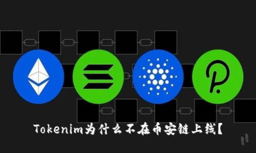 Tokenim为什么不在币安链上线？