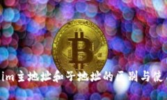 Tokenim主地址和子地址的区别与使用指南