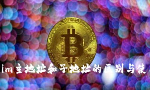 Tokenim主地址和子地址的区别与使用指南