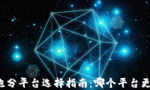 
区块链跑分平台选择指南：哪个平台更适合您？