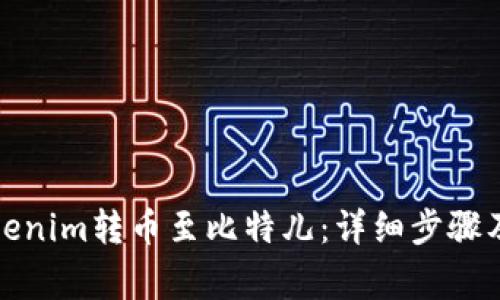 如何将Tokenim转币至比特儿：详细步骤及注意事项