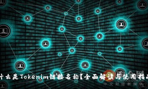 什么是Tokenim链接名称？全面解读与使用指南