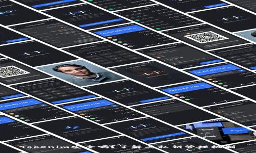 Tokenim安全吗？了解其私钥管理机制