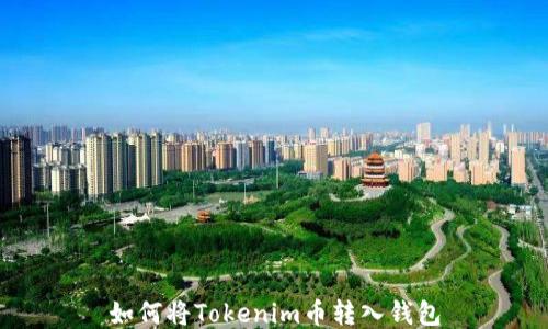 
如何将Tokenim币转入钱包
