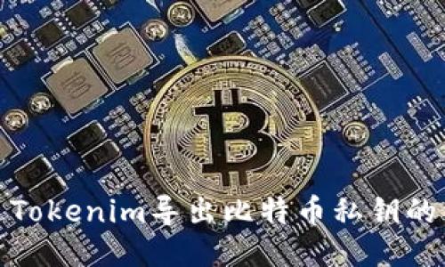 如何通过Tokenim导出比特币私钥的详细步骤