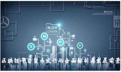 区块链平台货币发行的全面解析与发展前景