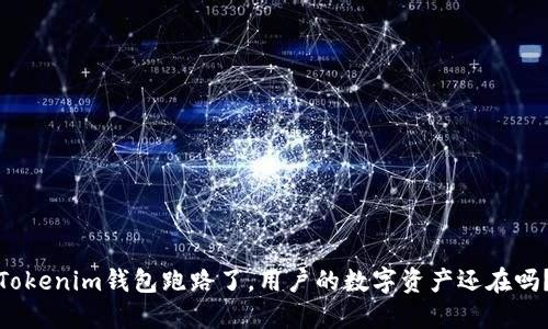 Tokenim钱包跑路了，用户的数字资产还在吗？