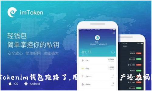 Tokenim钱包跑路了，用户的数字资产还在吗？