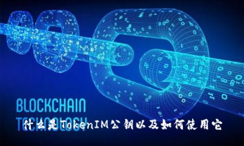 什么是TokenIM公钥以及如何使用它