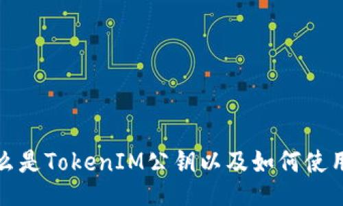 什么是TokenIM公钥以及如何使用它