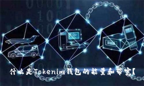 什么是Tokenim钱包的能量和带宽？