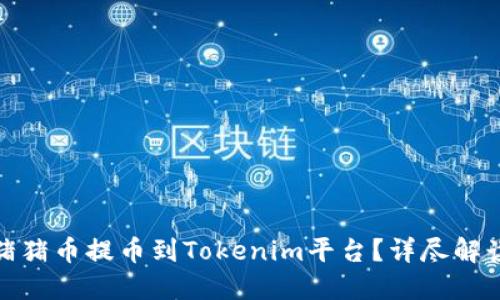 如何将猪猪币提币到Tokenim平台？详尽解读与步骤