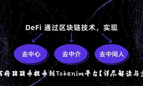 如何将猪猪币提币到Tokenim平台？详尽解读与步骤