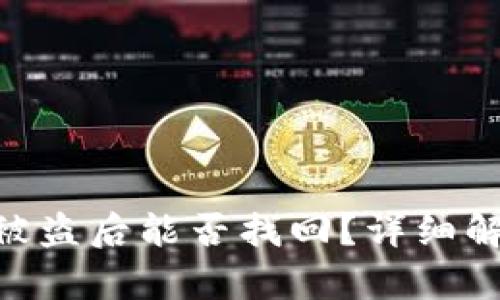 Tokenim资产被盗后能否找回？详细解析和案例分享