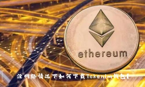 没网络情况下如何下载Tokenim钱包？