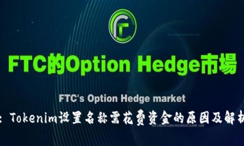 : Tokenim设置名称需花费资金的原因及解析