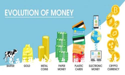 巴西区块链数据平台的现状与未来发展