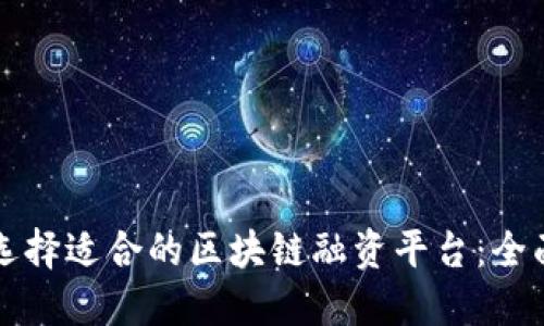 如何选择适合的区块链融资平台：全面指南