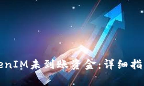 如何查询TokenIM未到账资金：详细指南与常见问题