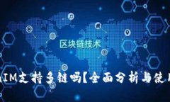 TokenIM支持多链吗？全面分析与使用指南